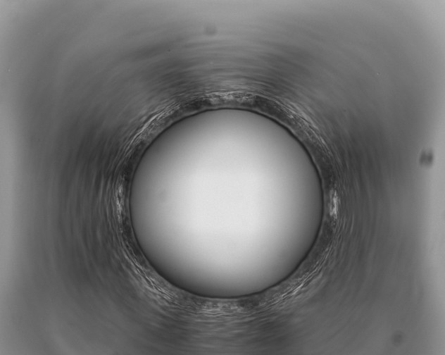 X0000091080915200708061042