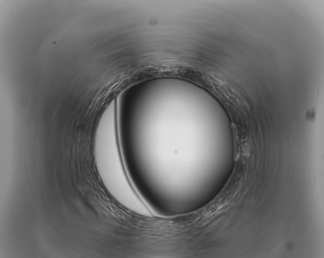 X0000091080916200708061042