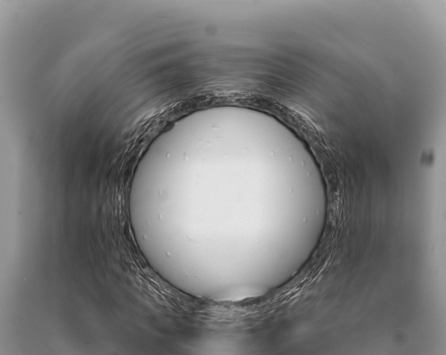 X0000091080917200708061042