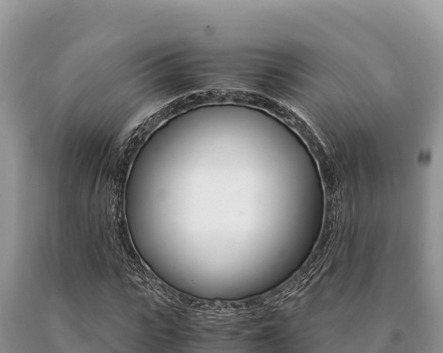 X0000091080919200708061042
