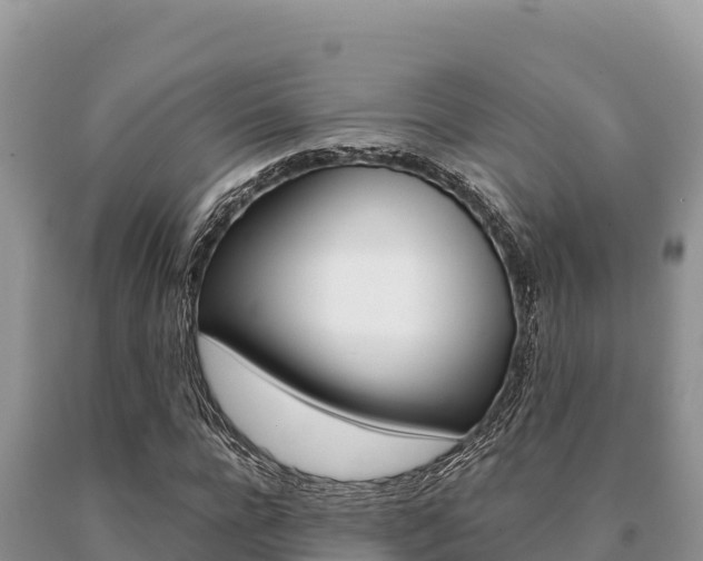 X0000091080920200708061042