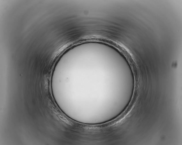 X0000091080921200708061042