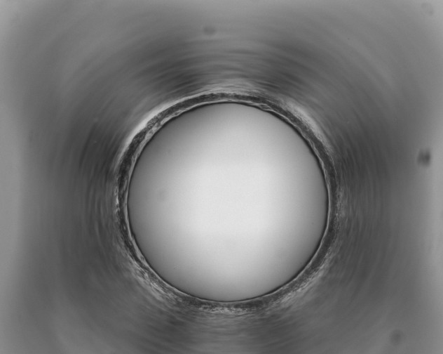 X0000091080923200708061042