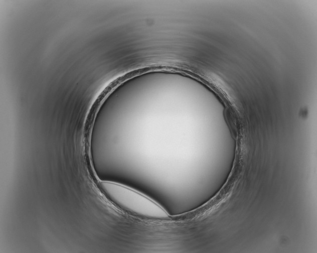 X0000091080924200708061042