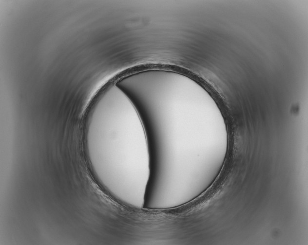 X0000091080926200708061042