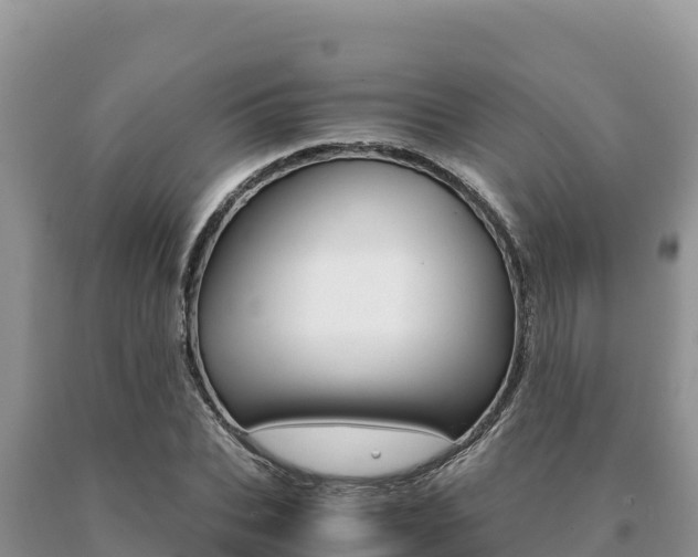 X0000091080927200708061042