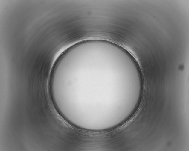 X0000091080928200708061042