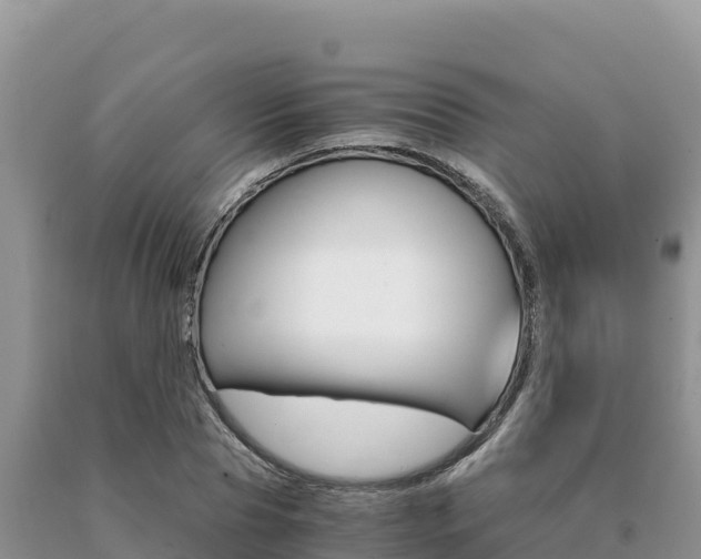 X0000091080929200708061042