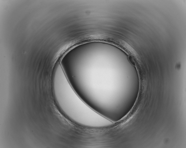 X0000091080930200708061042