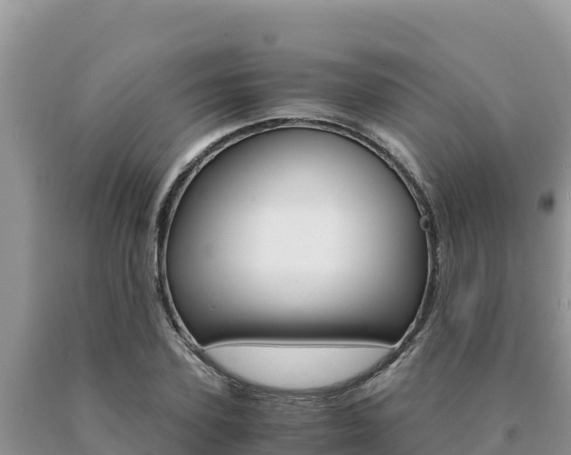 X0000091080931200708061042