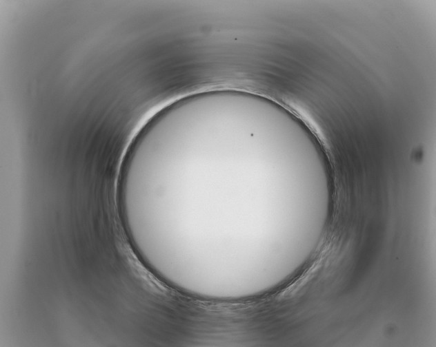 X0000091080932200708061042