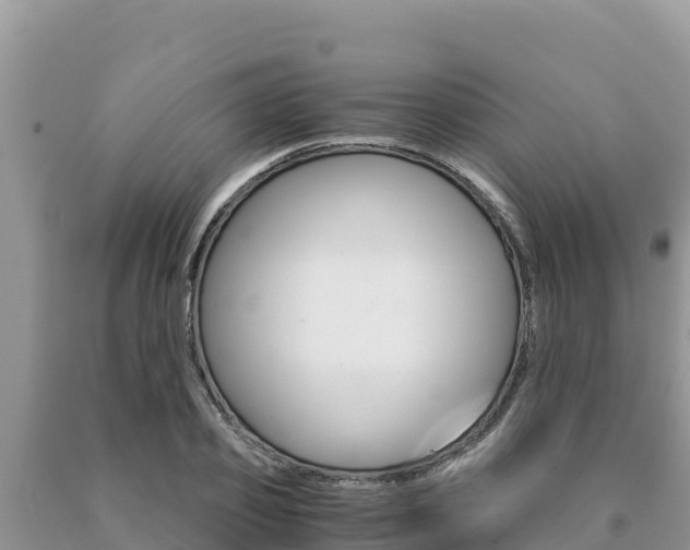 X0000091080933200708061042