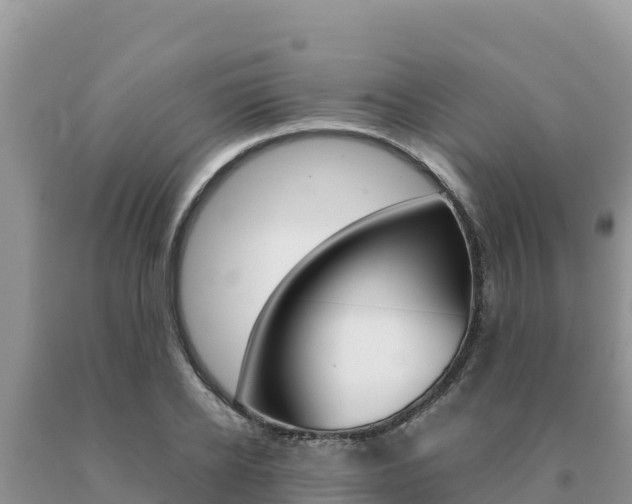 X0000091080934200708061042