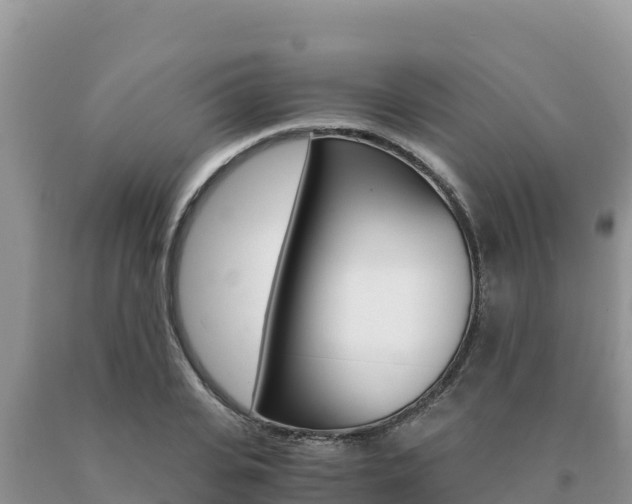 X0000091080935200708061042