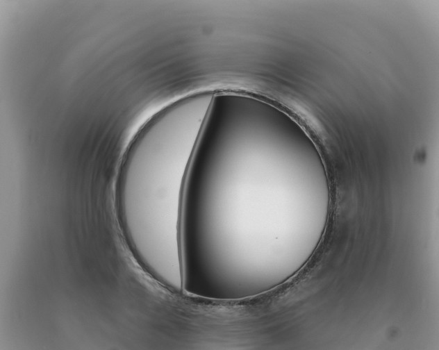 X0000091080936200708061042