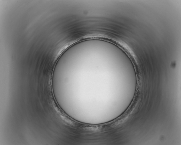 X0000091080937200708061042