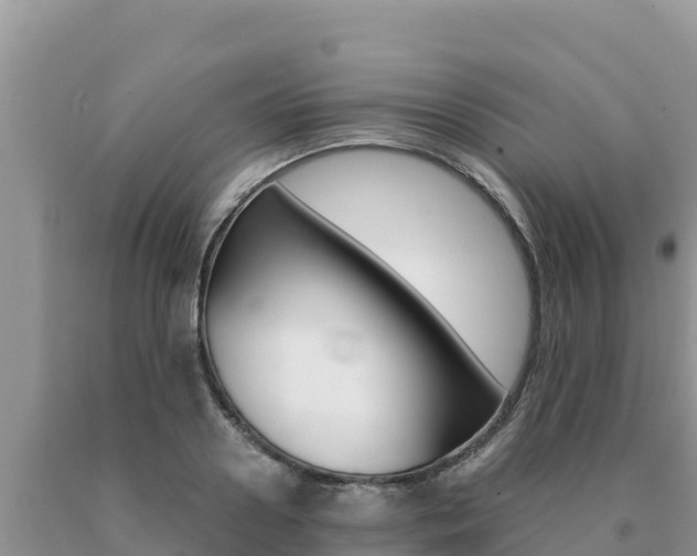 X0000091080938200708061042