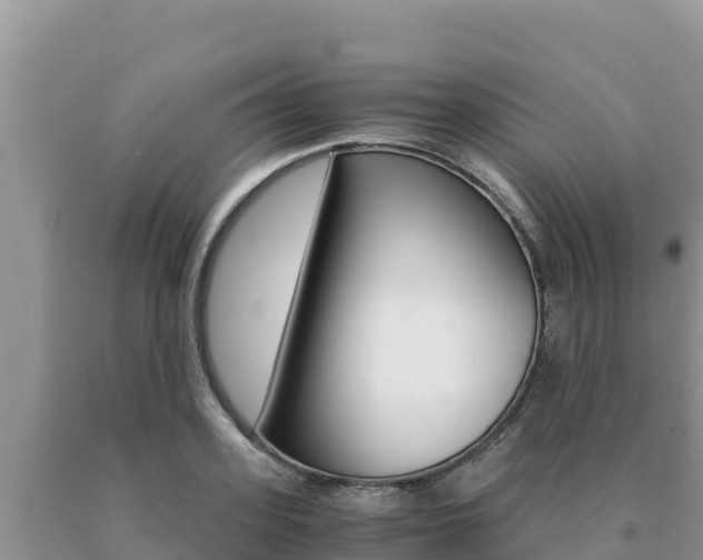 X0000091080939200708061042