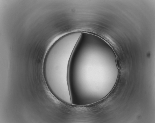 X0000091080940200708061042