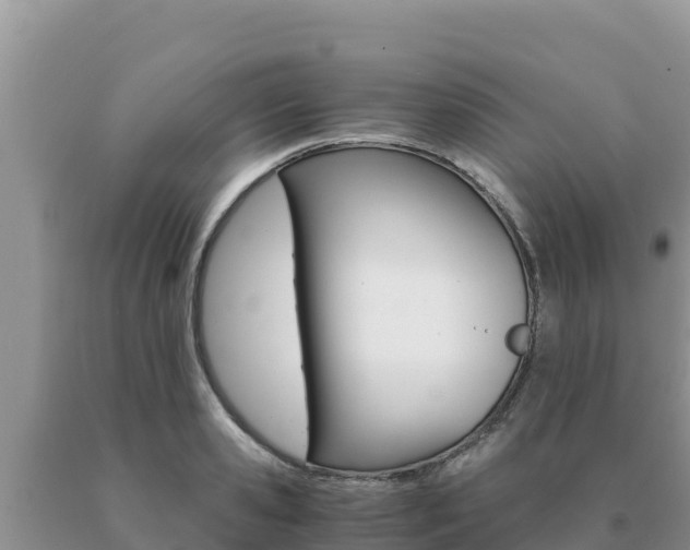X0000091080941200708061042