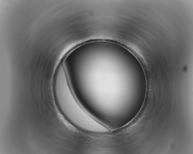 X0000091080942200708061042