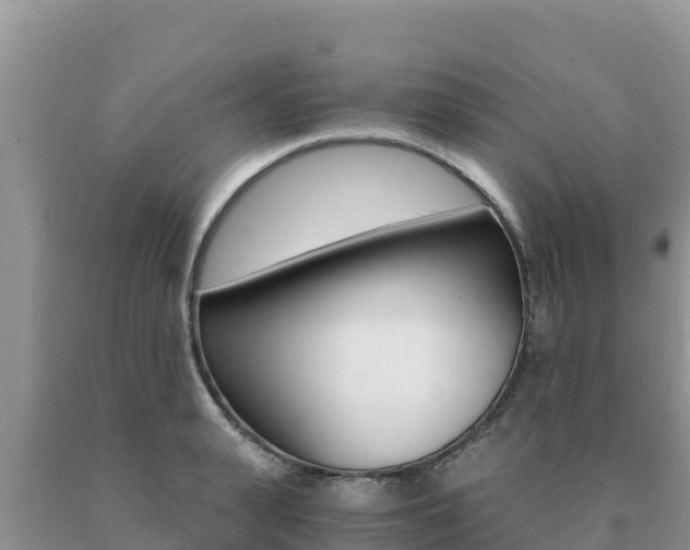 X0000091080943200708061042