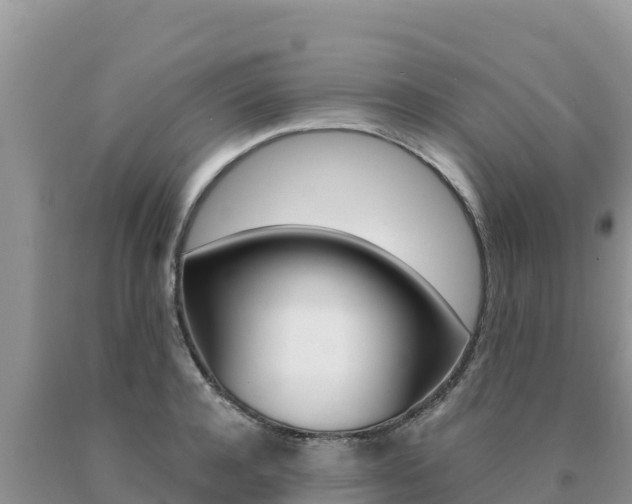 X0000091080944200708061042