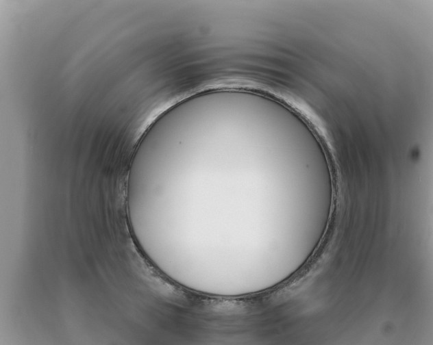 X0000091080945200708061042