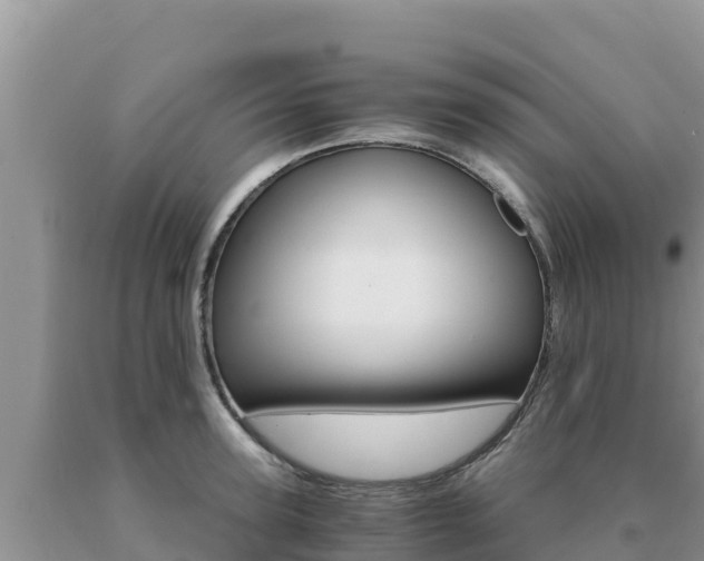 X0000091080947200708061042