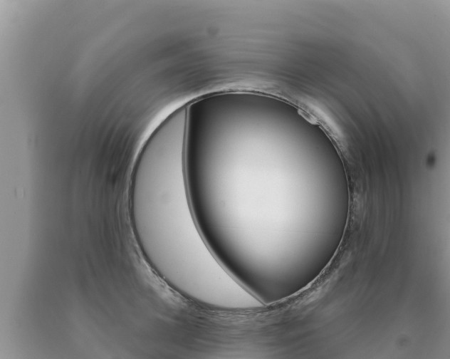 X0000091080948200708061042
