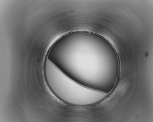 X0000091080949200708061042