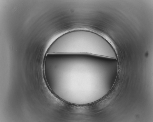 X0000091080951200708061042