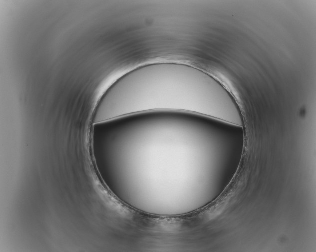 X0000091080952200708061042