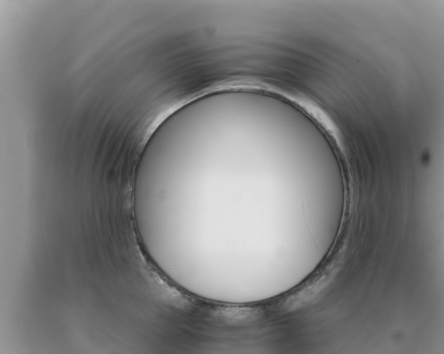 X0000091080953200708061042