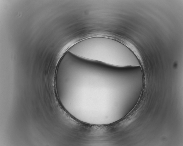 X0000091080954200708061042