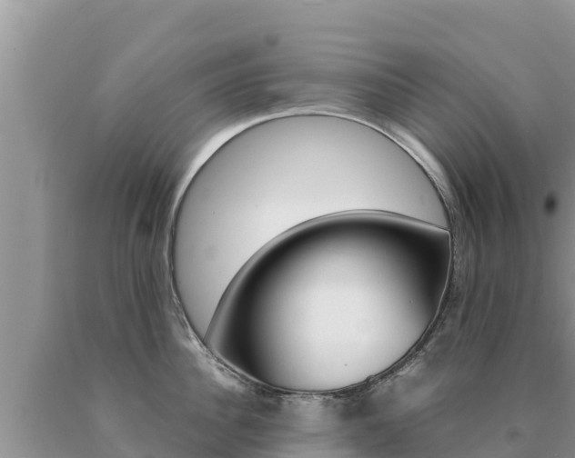 X0000091080956200708061042