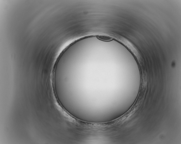 X0000091080958200708061042