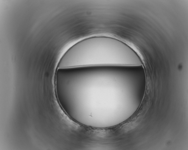 X0000091080959200708061042