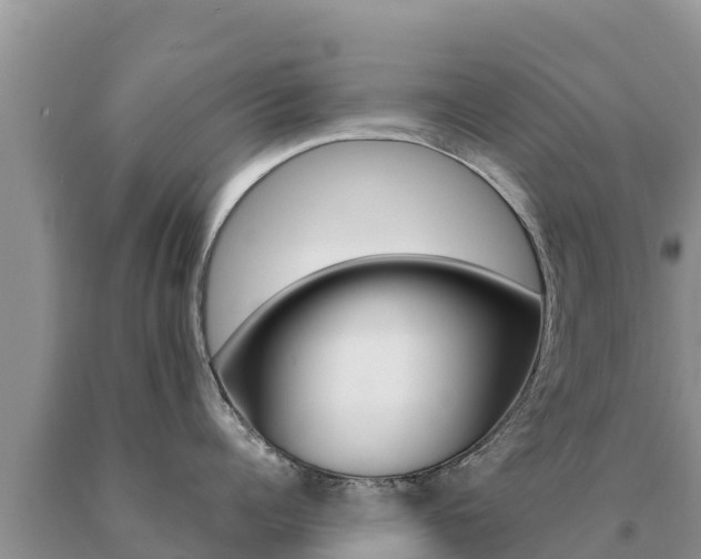 X0000091080960200708061042