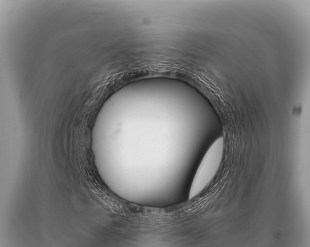 X0000091080961200708061042