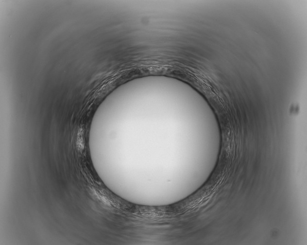 X0000091080962200708061042