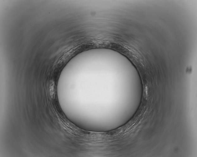 X0000091080963200708061042