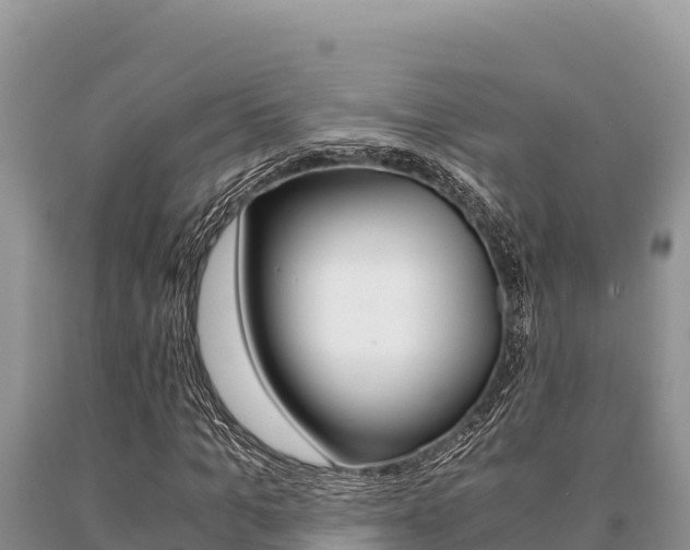 X0000091080965200708061042