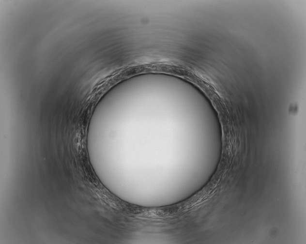 X0000091080966200708061042