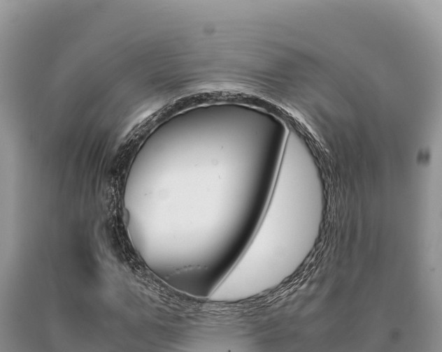 X0000091080967200708061042