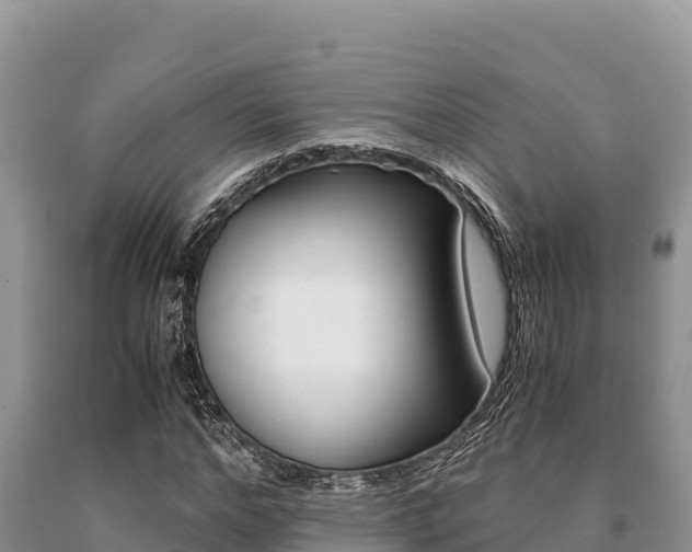 X0000091080968200708061042