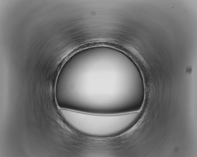 X0000091080969200708061042