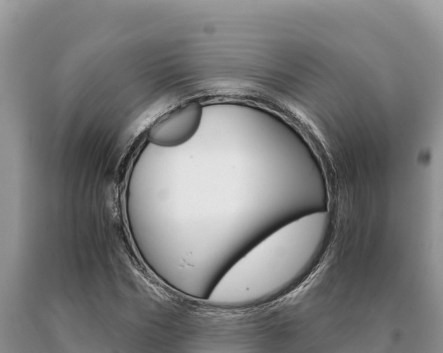 X0000091080970200708061042