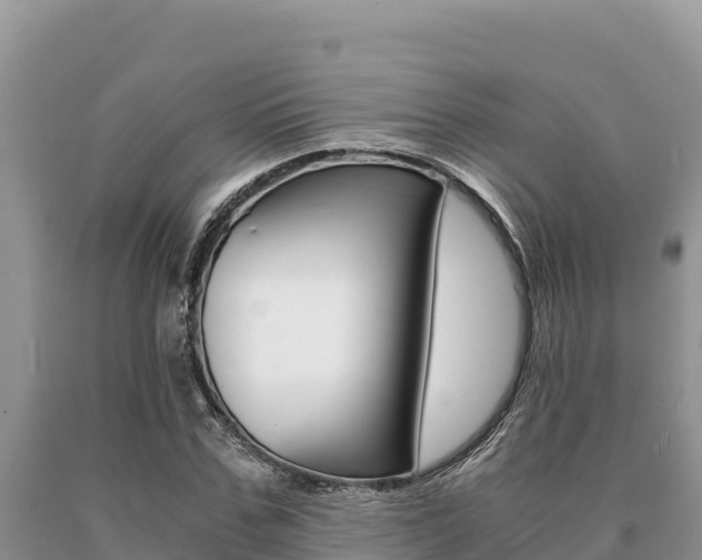 X0000091080971200708061041