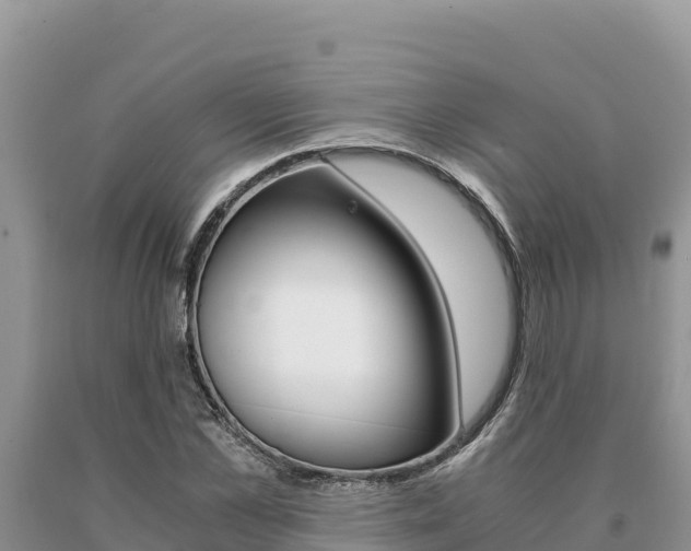 X0000091080973200708061041